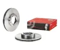 BREMBO Brzdov kotou - 257 mm BRE 09.5017.10, 09.5017.10