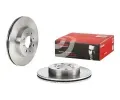 BREMBO Brzdov kotou - 262 mm BRE 09.5457.20, 09.5457.20