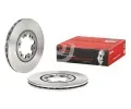 BREMBO Brzdov kotou - 256 mm BRE 09.5957.10, 09.5957.10