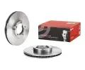 BREMBO Brzdov kotou - 254 mm BRE 09.6967.14, 09.6967.14