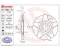 Brzdov kotou BREMBO ‐ BRE 09.7880.75