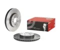 BREMBO Brzdov kotou COATED DISC LINE - 300 mm BRE 09.8665.11, 09.8665.11