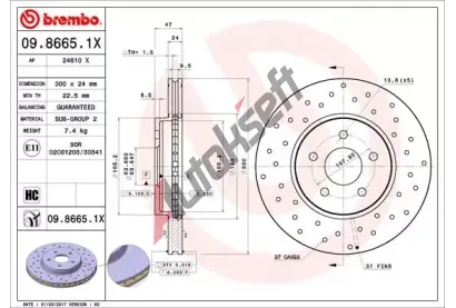 BREMBO Brzdov kotou XTRA LINE - 300 mm BRE 09.8665.1X, 09.8665.1X