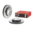 BREMBO Brzdov kotou COATED DISC LINE - 317 mm BRE 09.8873.31, 09.8873.31