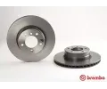 BREMBO Brzdov kotou COATED DISC LINE - 310 mm BRE 09.9173.11, 09.9173.11