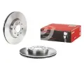 BREMBO Brzdov kotou - 257 mm BRE 09.9631.14, 09.9631.14