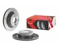 BREMBO Brzdov kotou XTRA LINE - 300 mm BRE 09.9793.1X, 09.9793.1X