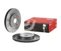 BREMBO Brzdov kotou COATED DISC LINE - 319 mm BRE 09.A109.11, 09.A109.11