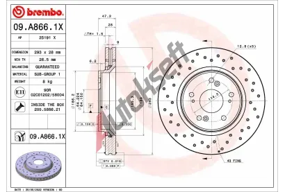 BREMBO Brzdov kotou XTRA LINE - 293 mm BRE 09.A866.1X, 09.A866.1X