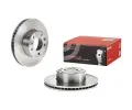 BREMBO Brzdov kotou - 315 mm BRE 09.A917.10, 09.A917.10