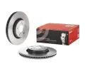 BREMBO Brzdov kotou COATED DISC LINE - 295 mm BRE 09.B043.11, 09.B043.11