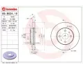 BREMBO Brzdov kotou - 254 mm ‐ BRE 09.B524.10