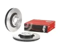 BREMBO Brzdový kotouč COATED DISC LINE - 325 mm BRE 09.C207.11, 09.C207.11