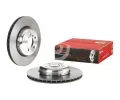 BREMBO Brzdov kotou TWO-PIECE DISCS LINE - 345 mm BRE 09.D096.13, 09.D096.13