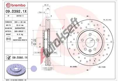 BREMBO Brzdov kotou XTRA LINE - 300 mm BRE 09.D392.1X, 09.D392.1X