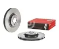 BREMBO Brzdov kotou COATED DISC LINE - 316 mm BRE 09.N256.21, 09.N256.21