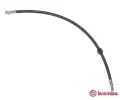 Brzdov hadice BREMBO ‐ BRE T06046