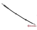 Brzdov hadice BREMBO ‐ BRE T06053