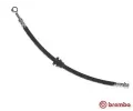 Brzdov hadice BREMBO ‐ BRE T10018