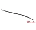 Brzdov hadice BREMBO ‐ BRE T23061