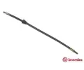 Brzdov hadice BREMBO ‐ BRE T24007