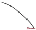 Brzdov hadice BREMBO ‐ BRE T24045