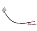 Brzdov hadice BREMBO ‐ BRE T24121