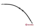 BREMBO Brzdov hadice ESSENTIAL LINE ‐ BRE T44033