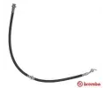 Brzdov hadice BREMBO ‐ BRE T56142