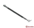 Brzdov� hadice&nbsp;BREMBO&nbsp;&dash;&nbsp;BRE T56164