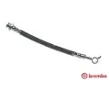 Brzdov� hadice&nbsp;BREMBO&nbsp;&dash;&nbsp;BRE T56165