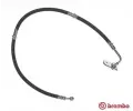 Brzdov hadice BREMBO ‐ BRE T79032