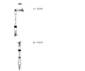 Sada kabel pro zapalovn BREMI ‐ BRI 962