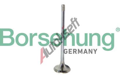 Borsehung Vfukov ventil BSH B10321, B10321