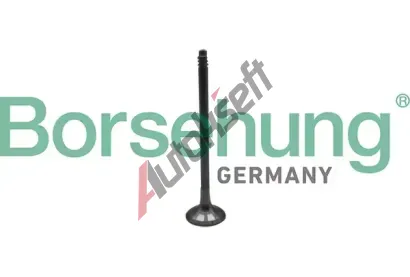 Borsehung Výfukový ventil BSH B10324, B10324 Borsehung Výfukový ventil BSH B10324, B10324