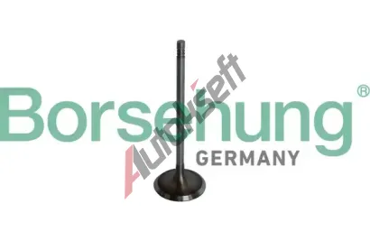 Borsehung Sací ventil BSH B10325, B10325 Borsehung Sací ventil BSH B10325, B10325