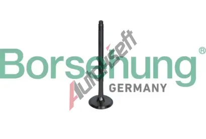 Borsehung Vfukov ventil BSH B10326, B10326
