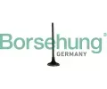 Sac ventil Borsehung ‐ BSH B10334