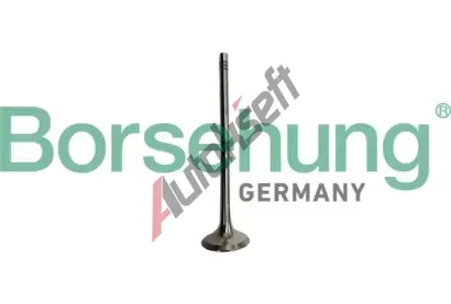 Borsehung Výfukový ventil BSH B10335, B10335 Borsehung Výfukový ventil BSH B10335, B10335