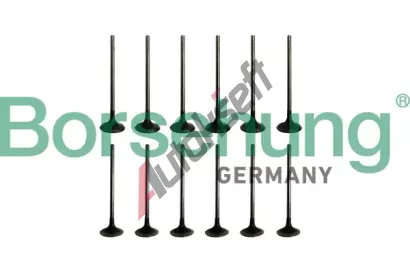 Borsehung Sada ventil�, sac�/v�fukov� ventil BSH B10336, B10336