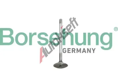 Borsehung Sací ventil BSH B10345, B10345  Borsehung Sací ventil BSH B10345, B10345