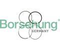 Sada pstnch krouk Borsehung ‐ BSH B10361