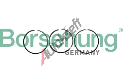 Borsehung Sada pstnch krouk BSH B10362, B10362