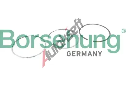 Borsehung Sada pstnch krouk BSH B10364, B10364