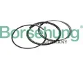 Sada pstnch krouk Borsehung ‐ BSH B10367