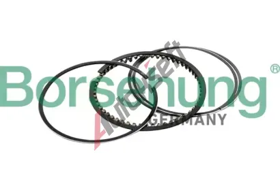 Borsehung Sada pístních kroužků BSH B10367, B10367 Borsehung Sada pístních kroužků BSH B10367, B10367