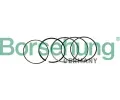 Sada pstnch krouk Borsehung ‐ BSH B10369