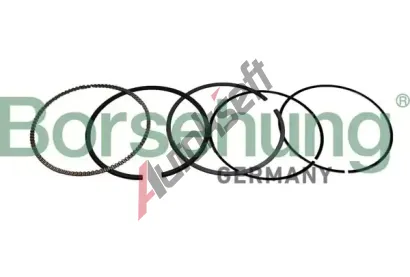 Borsehung Sada p�stn�ch krou�k� BSH B10372, B10372