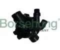Termostat chladiva&nbsp;Borsehung&nbsp;&dash;&nbsp;BSH B10551