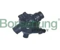 Termostat chladiva&nbsp;Borsehung&nbsp;&dash;&nbsp;BSH B10552